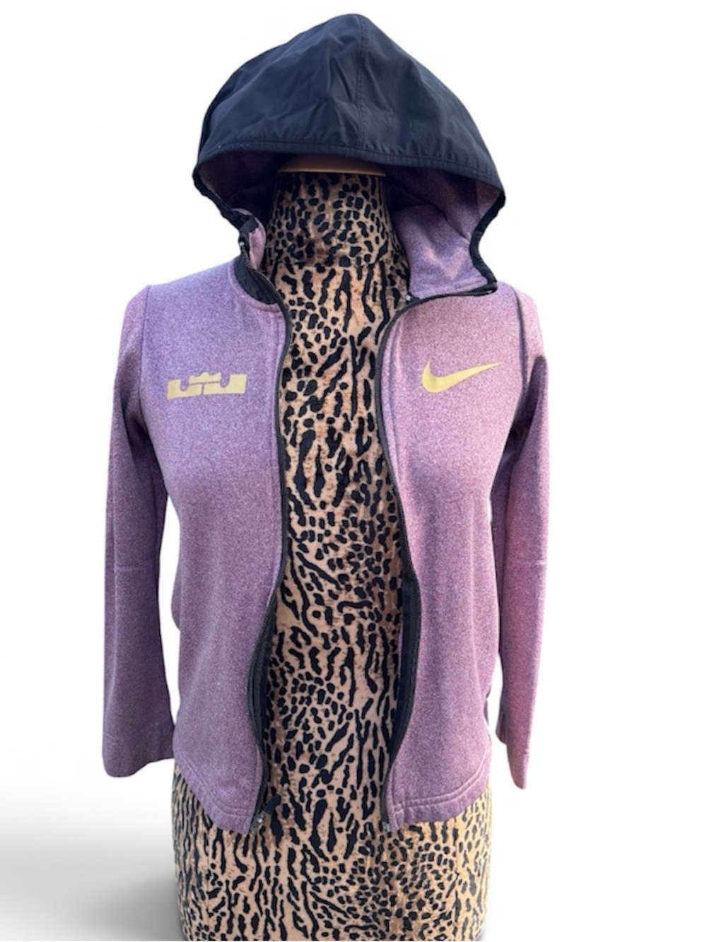 Nike LeBron Basketball Hoodie Zip Up Sweatshirt Jacket